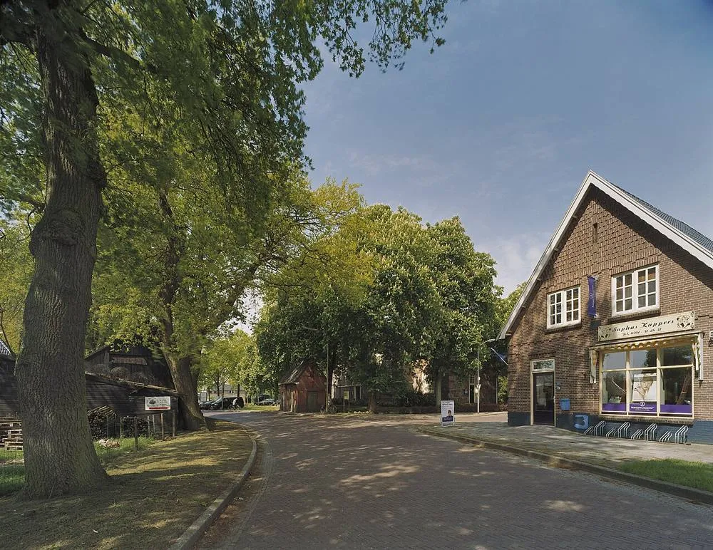 Odoorn: Overzicht Vatherweg, ter hoogte van nummer 3. Achter de bomen en elektriciteitshuisje ligt de kerk - Odoorn - 20372074 - RCE