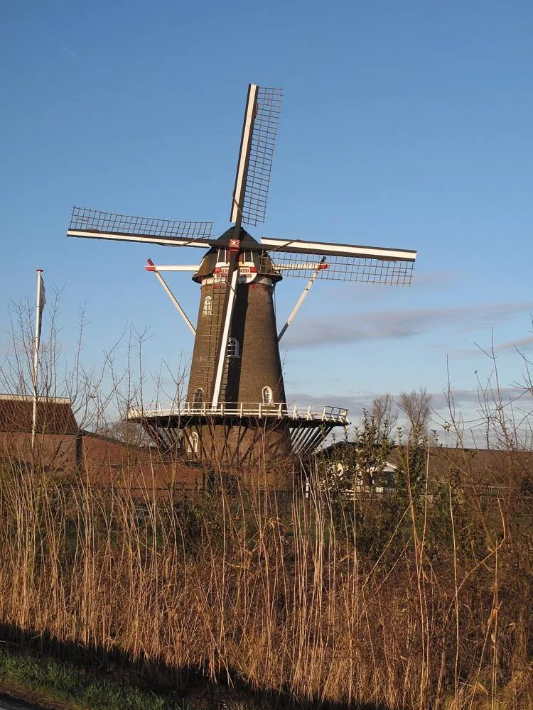 Afferden: Afferden, korenmolen de Drie Waaien foto4 2011-01-16 15.55