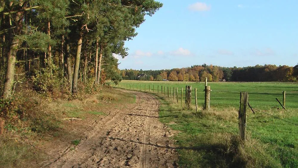 Stokkum: Montferland Stokkum Zandpad (1)