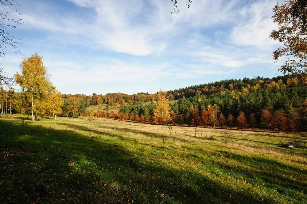 Soest: Soest, Netherlands - autumn landscape 2015 (22743688092)